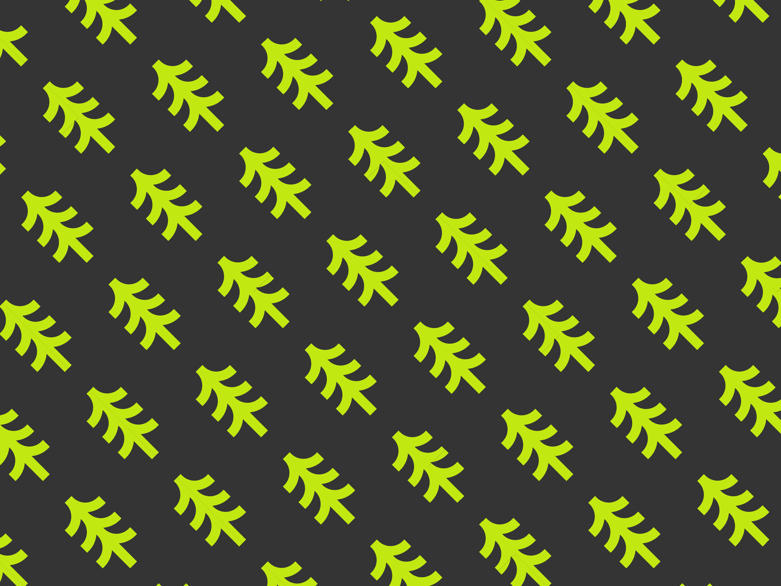 Pattern grafico Bouvet - brand identity outdoor